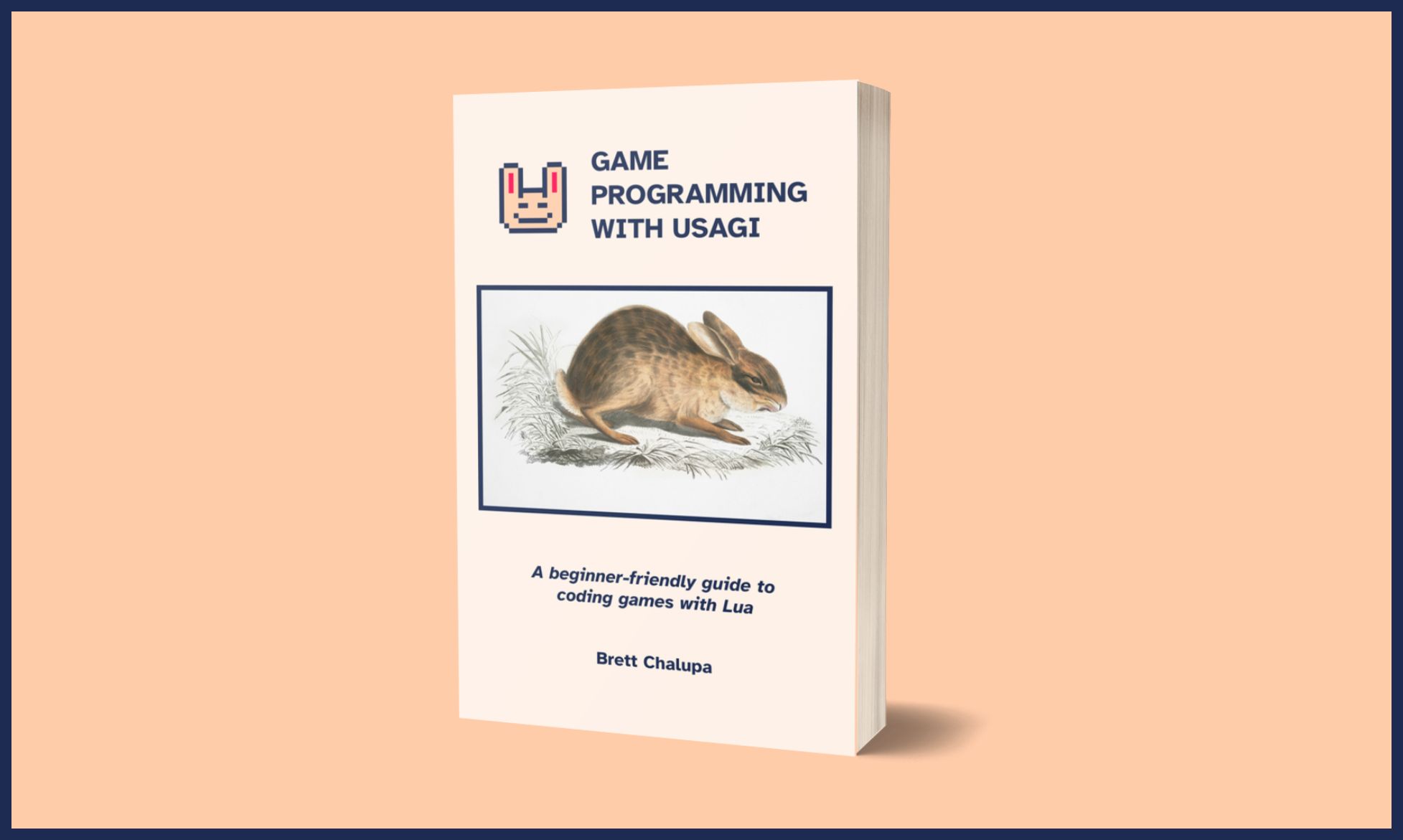 Game Programming with Usagi Engine cover featuring an illustration of a rabbit
